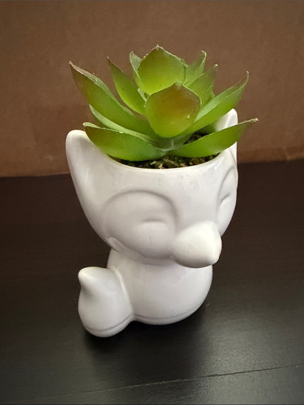 Succulent Decor - Picture 5 of 7